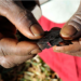 No To Genital Mutilation Of The Girl Child 5 No To Genital Mutilation Of The Girl Child