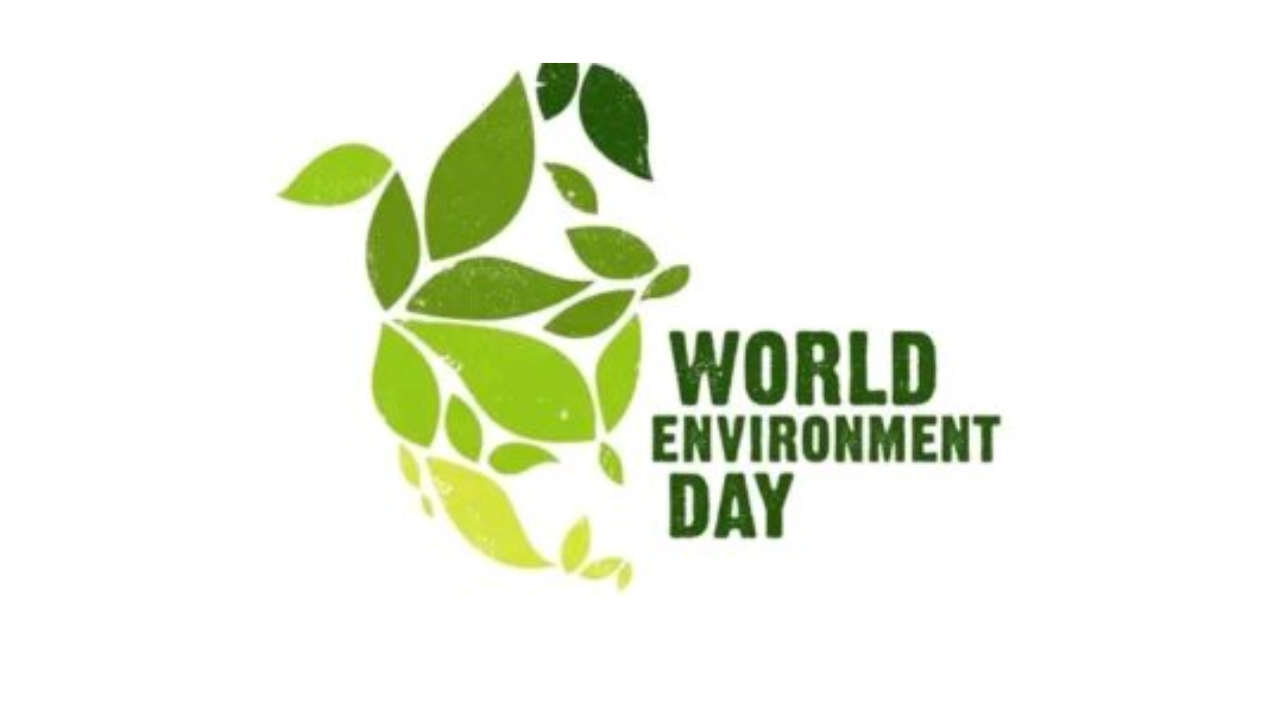 World Environment Day: Devt Bank Donates Receptacles