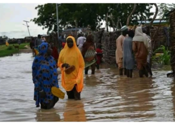 NiMet Warning: Yobe CSOs, SEMA Intensify Campaigns, Measures On Averting Flood Disaster
