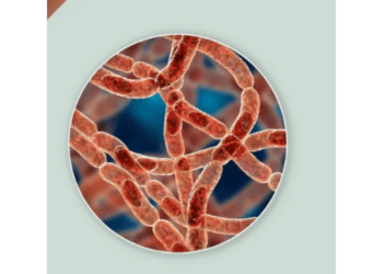 Anthrax Disease: Kwara Constitutes Prevention, Control C’ttee
