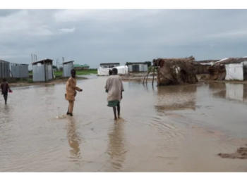 Flood Washes Away Kwara Community Link Bridge