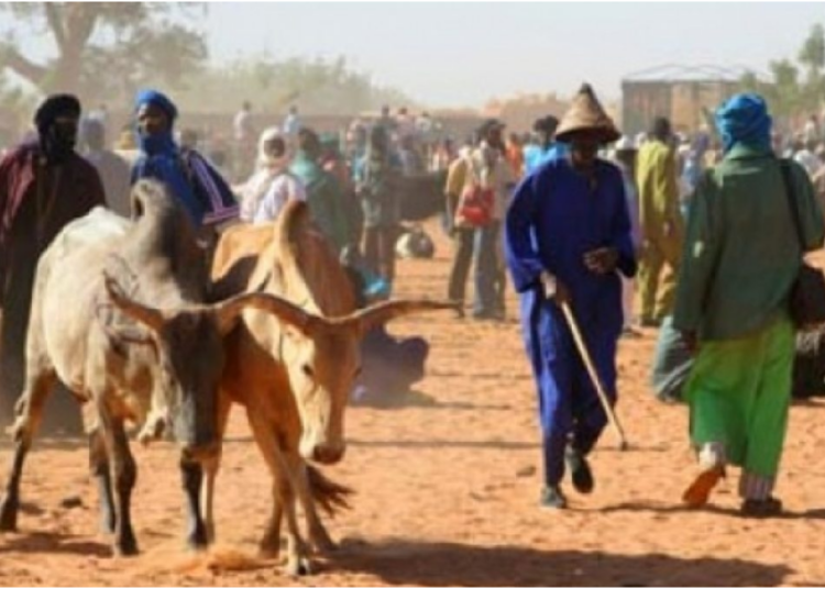 Abia Urges Hausa/Fulani Community, Umuchieze Clan To Ensure Security At Cattle Market 1 Untitled design 2023 06 25T130140.732