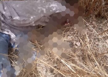 Troops Kill 11 ISWAP Terrorists, Destroy Camps In Sambisa Forest