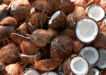 Making Extra Money Through Investment In Coconut Sales Business