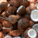 Making Extra Money Through Investment In Coconut Sales Business