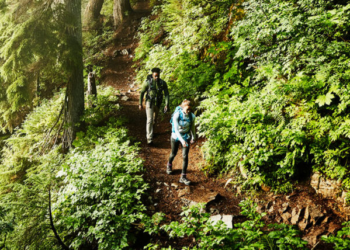 Difference Between Hiking And Trekking