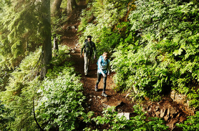 Difference Between Hiking And Trekking 1 hiking