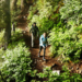 Difference Between Hiking And Trekking