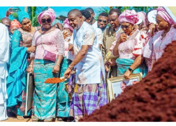 How Nigerians Rallied Round The Ihediohas