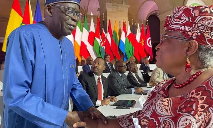 Tinubu: Attacks Between Obi-dients, BATists Show Depth Of Nigeria's Polarisation - Okonjo-Iweala 1 images 15