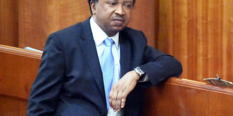 Shehu Sani Declares Interest In Kaduna Senatorial Seat