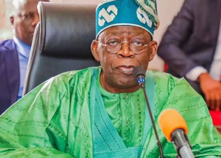 Tinubu Appoints Governing Councils For Federal Colleges Of Education