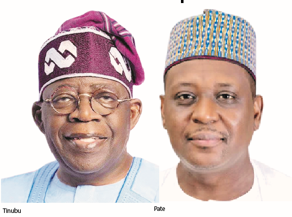Tinubu Headhunts Global Experts For Cabinet Slots 1 tinubu pate