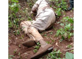 Gunmen Kill Pastor, Abduct Worshippers In Ogun