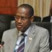 Nomination Of Dangiwa As Minister A Masterstroke – HDAN