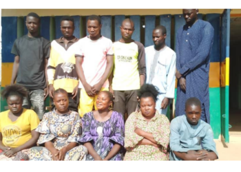 Police Arrest 207 Suspects Over Phone Snatching, Others In Kaduna