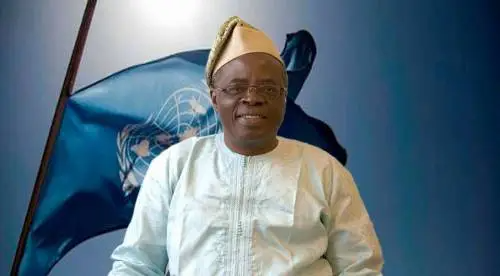 Prioritise Domestic Realities In Foreign Policy, Badejo Tells Federal Govt 1 Babafemi Adesina Badejo