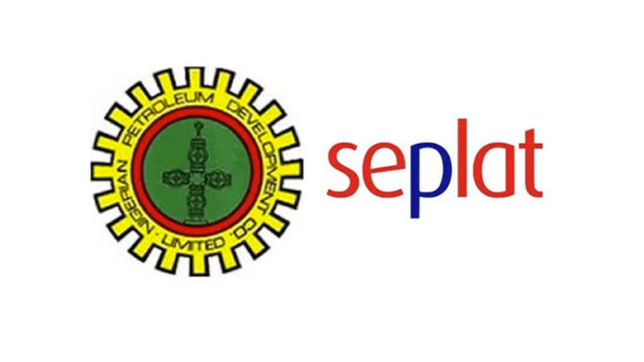 Seplat JV 'Eye Can See' Initiative: Promoting Good Health, Well-being In Nigeria - Vimarsana News