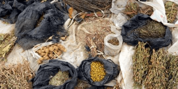 Herbal Medicine