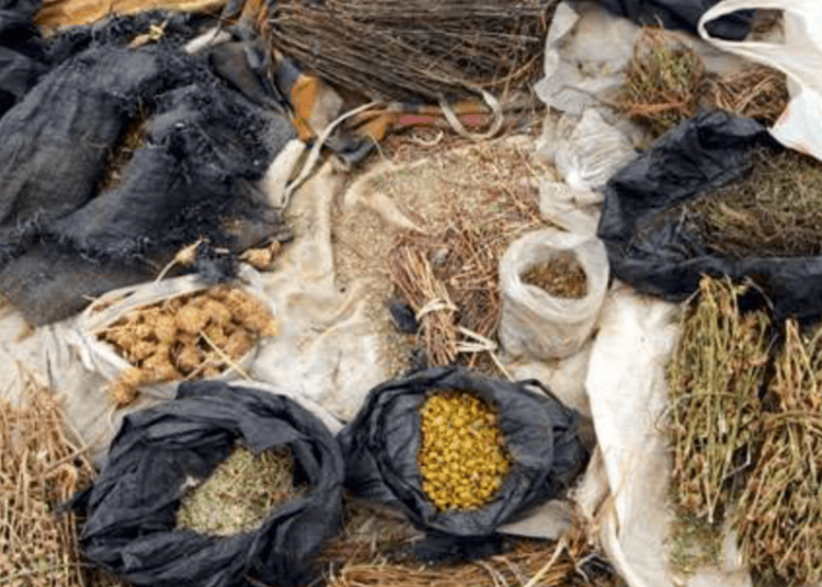 Herbal Medicine