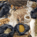 Making A Case For Herbal Medicine As Alternative To Orthodox
