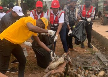 Edo Seeks Investors In Waste Mgt, Recycling Sectors