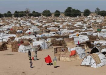 UNHCR, UN, Al-Habibiyyah Mobilize Support For IIDPs In Nigeria