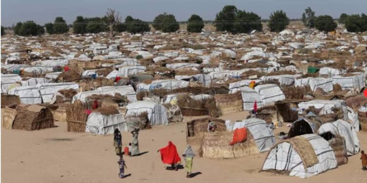 UNHCR