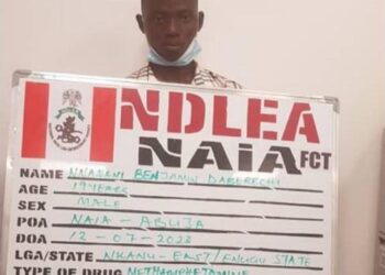 NDLEA Nabs Europe-bound Teenager With Drugs At Abuja Airport