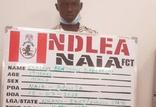 Ndlea