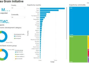 Russia’s Action On Grain Initiative, A Blow To Global Food Security
