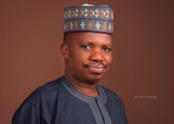 NGSA Geological Reports Driving FDIs In Mining – AfCFTA Chief, Bununu