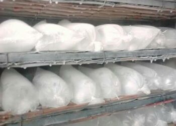 MONEY MATTERS: Making Money From Ice-Block Sales For Parties