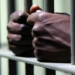 Cinematographer, 3 Others Jailed For Cybercrime In Kwara