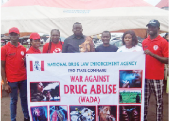Foundation Partners NDLEA Against Drug Use By Artisans In Imo