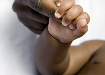 Still On The Menace Of Baby Factories