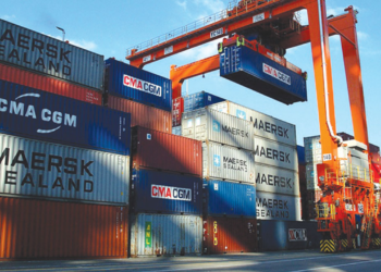 Ports: Importers, Customs Agents Groan Over Floating Naira