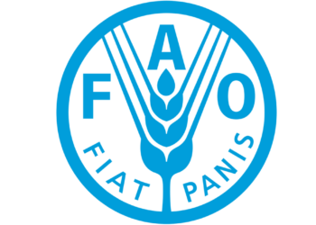 Stakeholders Team Up To Upscale Nigeria’s Millets Value Chain