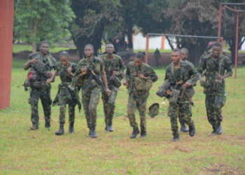82 Division GOC Harps On Continuous Training