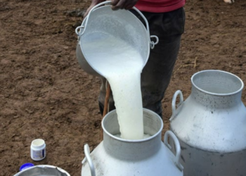 Profiting From Revenue Spinning Milk Production