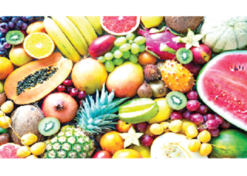 Investing In Fruits Sale Business