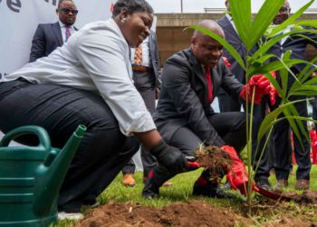 UBA Foundation Launches 2023 Tree Planting Campaign