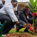 UBA Foundation Launches 2023 Tree Planting Campaign