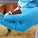Anthrax: Federal Govt Begins Free Vaccination Of Animals 5 Anthrax: Federal Govt Begins Free Vaccination Of Animals