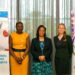 PharmAccess, HFN Unite To Propel Healthcare Advancements In Nigeria