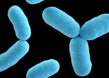 JUST-IN: Kaduna Govt Confirms Diphtheria Disease Outbreak In Kafanchan