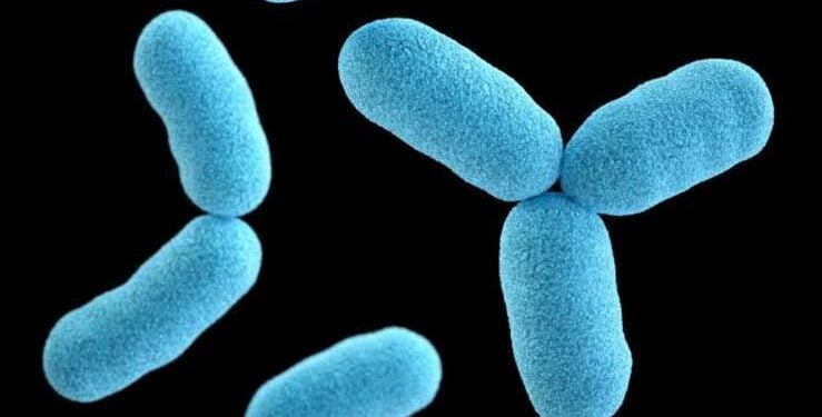 Diphteria