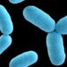 JUST-IN: Kaduna Govt Confirms Diphtheria Disease Outbreak In Kafanchan