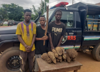Police Arrest 3 For Murder, Theft In Ekiti