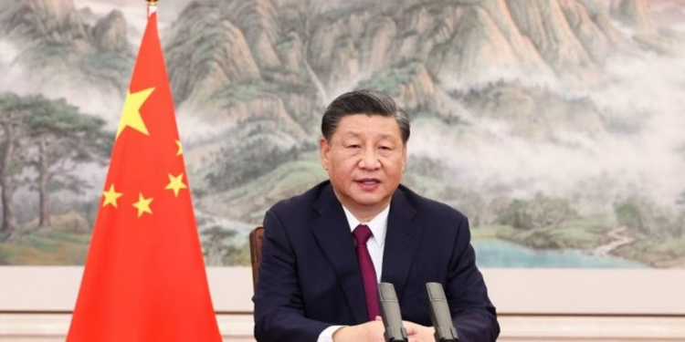 Chinese Model Of Palliatives